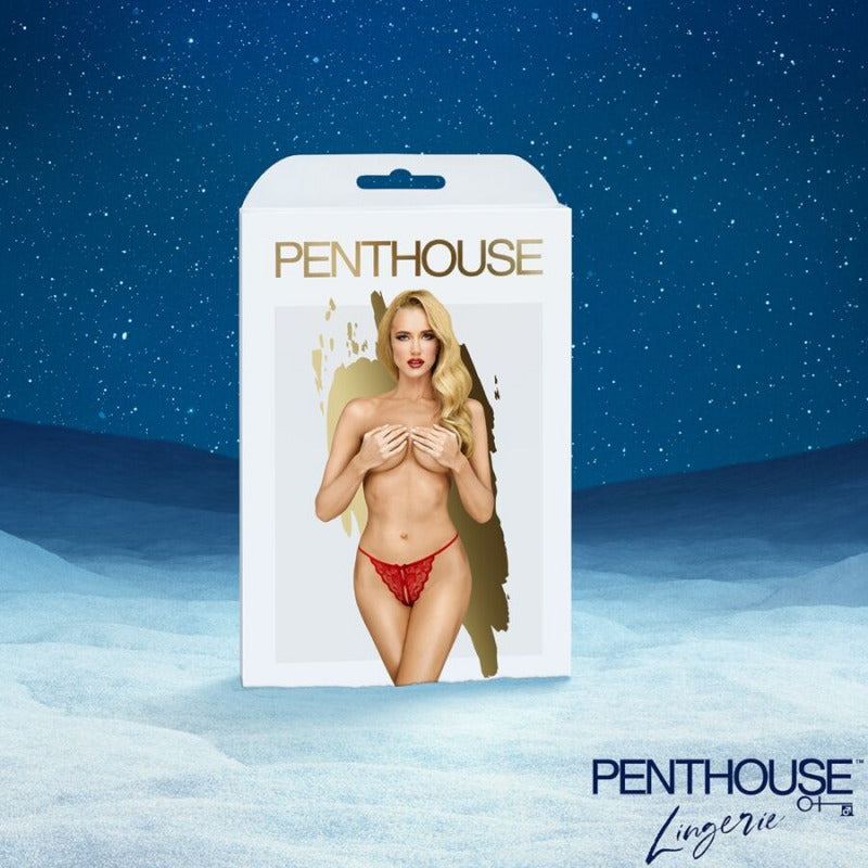 Calendario de Adviento Satisfyer Premium 2025 con 24 sorpresas sensuales y juguetes de BDSM y lencería.